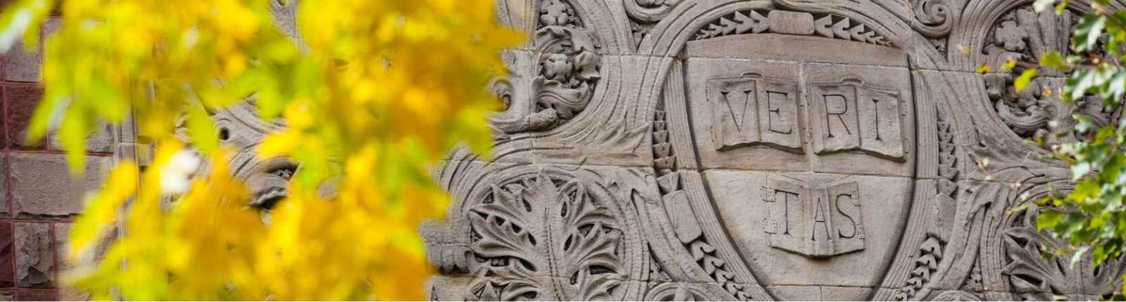 A view of the Veritas seal in a stone wall on campus.